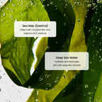 Refreshing Sea Kelp Serum