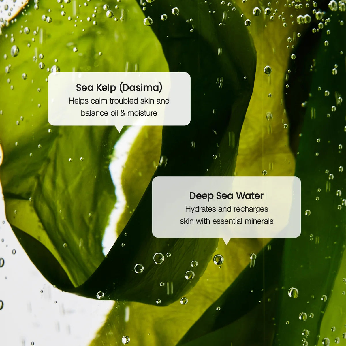 Refreshing Sea Kelp Serum